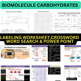 Biological molecules-Carbohydrate Worksheet ,Crossword, Wo