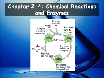 Preview of Biology - (2.4: Chemical Reactions and Enzymes PPT and Guided Notes)