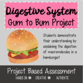 Biology Digestive System Summative Assessment Project