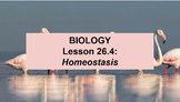 Biology 26.4 Homeostasis Google Doc Guided Notes & Slides