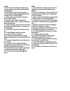 Mollusks Worksheet 1 Answer Key - Escolagersonalvesgui