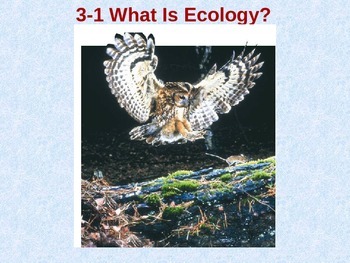 Preview of Biology 3.1 What is Ecology Fill-In-The-Blank Notes