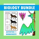 Biology Activities & Worksheets Bundle