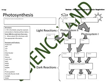 Photosynthesis Flow Chart Biology