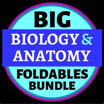 Preview of Biology & Anatomy Big Foldables MEGA BUNDLE for INBs or Binders - 40% OFF