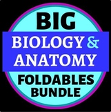 Biology & Anatomy Big Foldables MEGA BUNDLE for INBs or Bi
