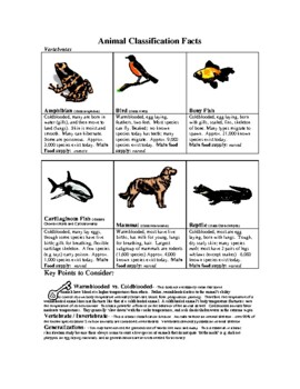 Animal Classification Chart Teaching Resources | TPT