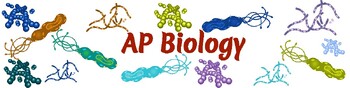 Preview of Biology--Bacteria Only--Google Classroom Header/Theme