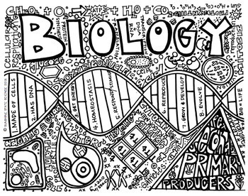 Big Kid Biology Coloring by Sunshine State Science | TpT