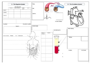 Preview of Biology Body Systems Review - Placemat Review