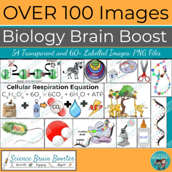 Preview of Biology Brain Boost: Clip Art & Images