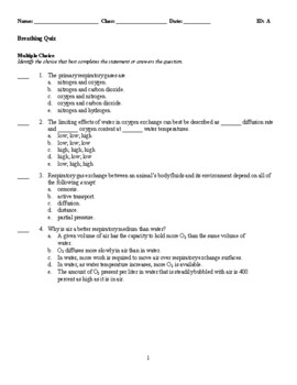 Biology - Breathing Quiz By Ron's Secondary School Store 