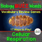 Cellular Respiration - Biology Science Vocabulary Activiti