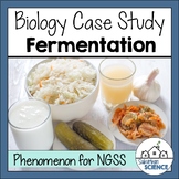 Biology Case Study - Fermentation - Cellular Respiration -