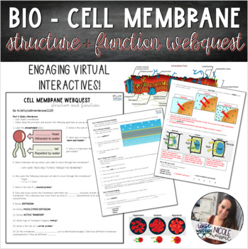 Biology | Cell Membrane Structure, Function, Transport WebQuest – EDITABLE