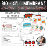 Biology | Cell Membrane Structure, Function, Transport Web