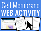 Biology: Cell Membrane Web Activity