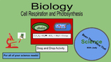 Biology: Cell Respiration/Photosynthesis Drag and Drop