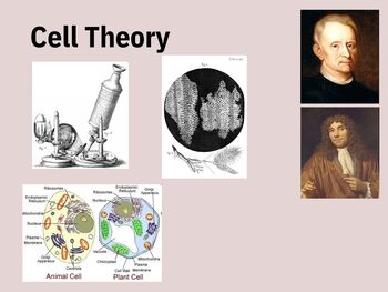 Preview of Biology Cell Theory Unit 1 PowerPoint