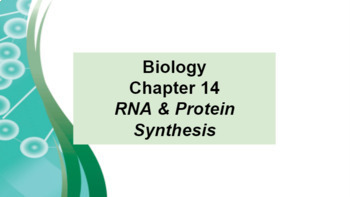 Preview of Biology Ch 14 RNA & Protein Synthesis Google Doc Guided Notes & Slides