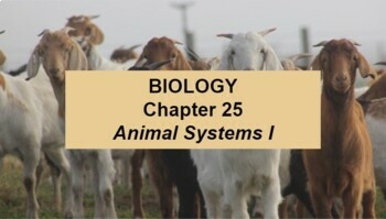 Preview of Biology Ch 25 Animal Systems I Google Doc Guided Notes & Slides