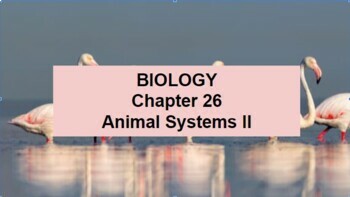 Preview of Biology Ch 26 Animal Systems II Google Doc Guided Notes & Slides