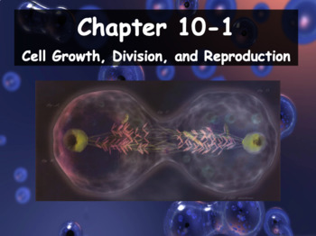 Preview of Biology - Chapter 10: Cell Growth and Division Powerpoints and Guided Notes