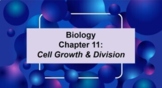 Biology Ch 11 Cell Growth & Division MS Word Guided Notes 
