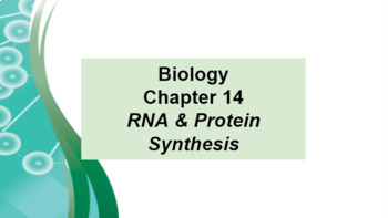 Preview of Biology Ch 14 RNA & Protein Synthesis MS Word Guided Notes & PowerPoints