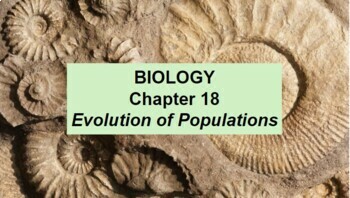 Preview of Biology Ch 18 Evolution of Populations MS Word Guided Notes & PowerPoints