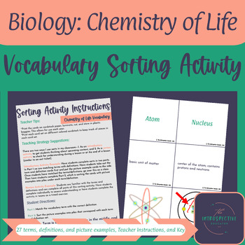Preview of Biology: Chemistry of Life Vocabulary Sorting Activity