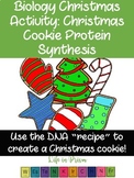 Biology Christmas Activity-Cookie Protein Synthesis