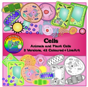 Preview of Plants and Animals Cells Clipart