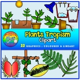 Plants Clipart- Tropism (Stimuli and Response)