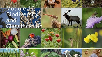 Preview of Biology Complete Evolution Unit PowerPoints and Guided Notes Bundle