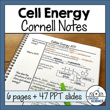 Preview of Biology Cornell Notes - ATP, Photosynthesis & Cellular Respiration, Cell Energy