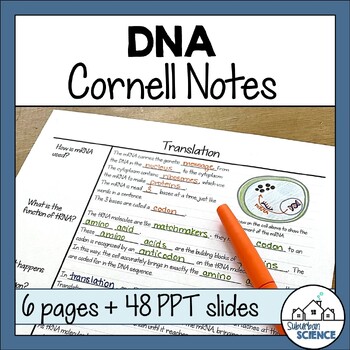 Preview of Biology Cornell Notes- DNA Structure, Replication, RNA, Protein Synthesis