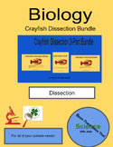 Biology: Crayfish Dissection 3-Part