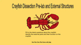 Biology: Crayfish Dissection Pre-lab and External Structures
