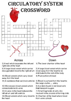 Biology Crossword Puzzle: Circulatory System (Includes blood, vessels