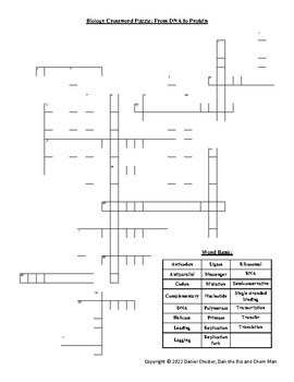 Preview of Biology Crossword Puzzle - From DNA to Protein