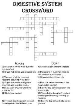 Biology Crossword Puzzle: The digestive system (Includes answer key)