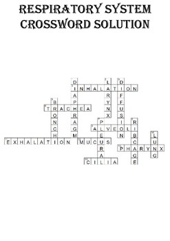 Biology Crossword Puzzle: The respiratory system (Includes answer key)