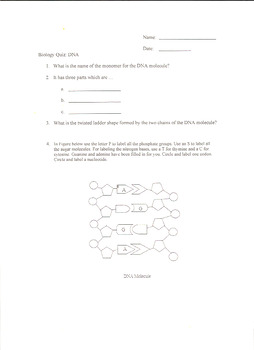 Preview of Biology: DNA & RNA Structure, Replication & Transcription Quiz w/ Key & Rubric