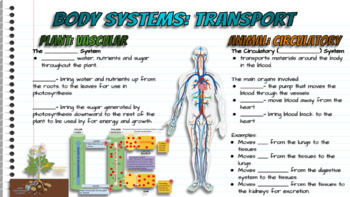 Preview of Biology Digital Interactive Notebook (Body Systems)