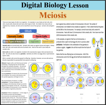 Preview of Digital Biology Lesson - Meiosis - Distance Learning