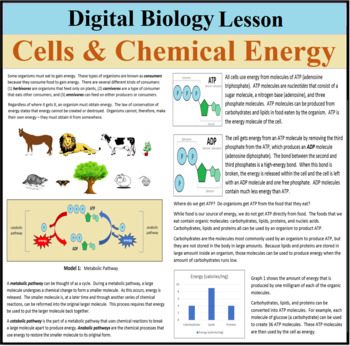 energy biology