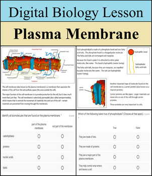 Preview of Digital Biology Lesson - Plasma Membrane - Distance Learning
