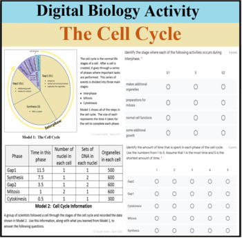 Preview of Digital Biology Lesson - The Cell Cycle - Distance Learning