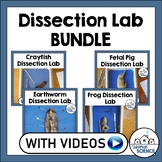 Biology Dissection Lab Bundle: Fetal Pig, Frog, Crayfish, 